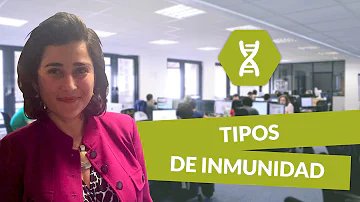 ¿Cuáles son los 4 tipos de inmunidad?