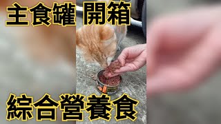 開箱|貓罐頭|綜合營養食主食罐#可愛貓咪 #貓罐頭 #貓主食罐