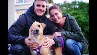 DOG THAT LOST HALF A FACE MEETS HIS FAMILY AGAIN!