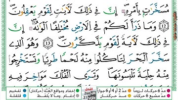 (مكررة) حفظ سورة النحل (03) للقارئ الشيخ محمد سايد