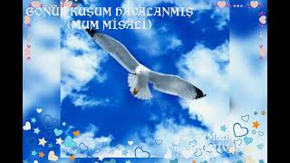 Öner Pehli̇van Gönül Kuşum Havalanmiş.(Mum Mi̇sali̇)