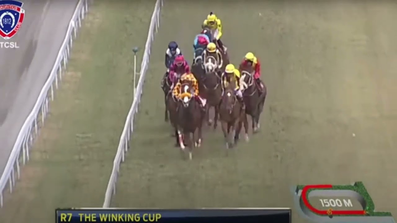 18eme journée - Race 7 - Var's Elusion