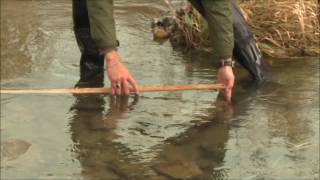 S4 M8 - Rapid Assessment Methodology for Instream Substrate Sampling