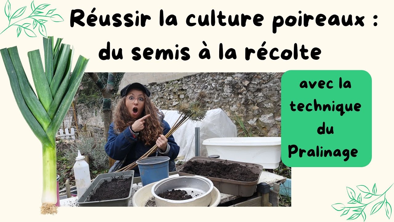 Réussir La culture du poireau : du semis à la récolte #poireau #semis #potager #culture