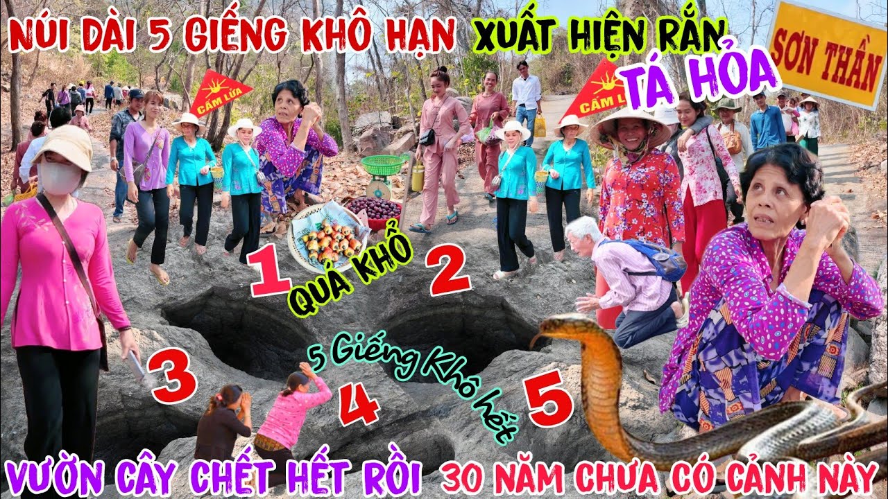 Thảm Cảnh 30 năm mới gặp hú Hồn gặp Rắn đi bộ lên núi dài 5 giếng mùa khô hạn cây cối sắp chết hết