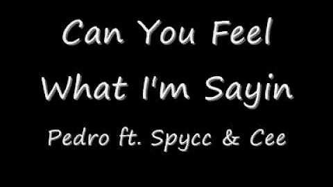 Pedro ft. Spycc & Cee - Can You Feel What I'm Sayin'