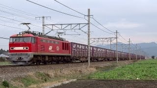 JR貨物 EF510-5 貨物列車(3092レ レッドサンダー)琵琶湖線 安土－近江八幡