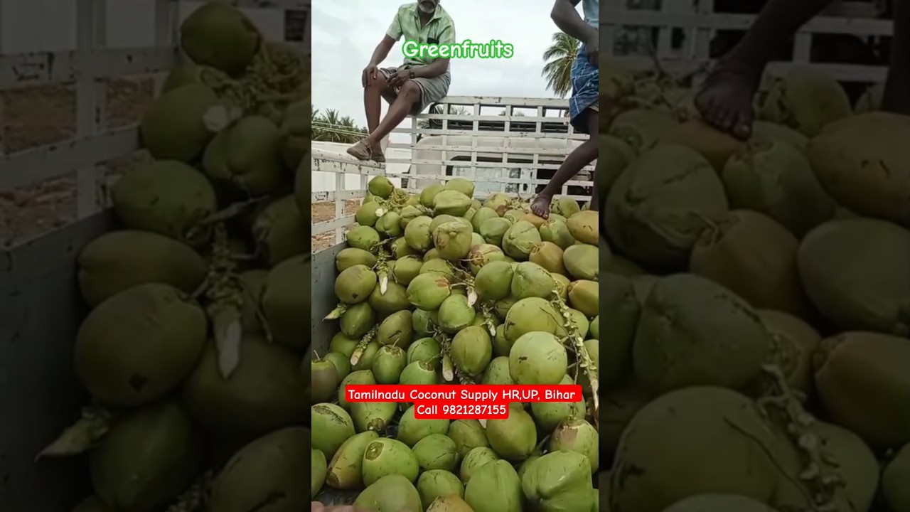 Tender Coconut Supplier in Tamil Nadu call 9821287155 