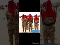 شركة جديد باللغة مساليت