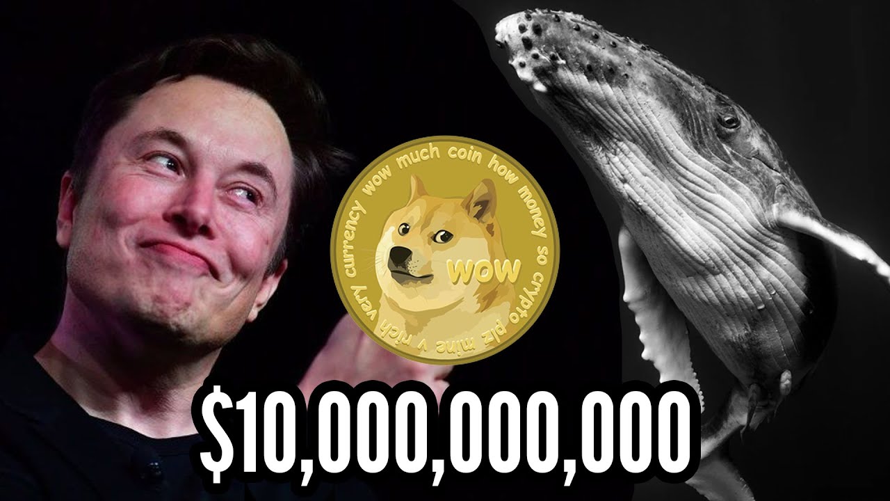 Elon Musk's $10 Billion Dollars Dogecoin Whale Deal