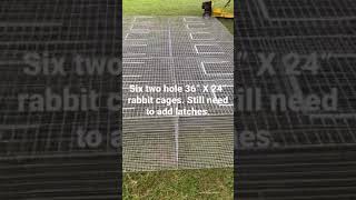 Building DIY rabbit cages. Silver fox rabbits. #shorts