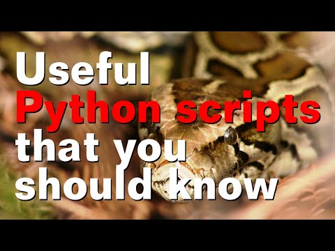 Useful Python scripts you should know