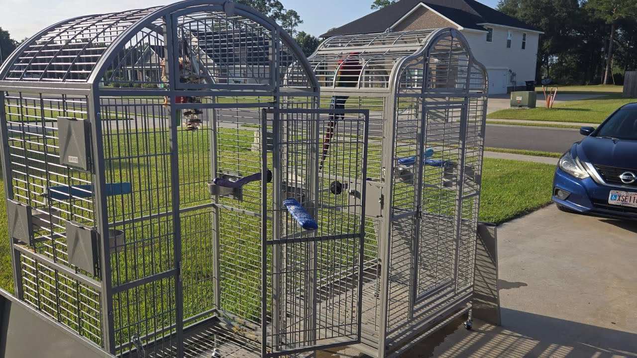 Cleaning a macaw cage with my pressure washer #nature #bird #parrot # ...