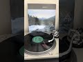 Beauty and Madness - Fra Lippo Lippi #fralippolippi #vinyloftoday #recordcollection #vinylrecords