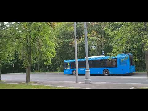 Автобус 641