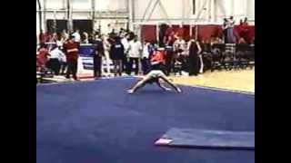 Steven Rochelle 2013 Jerrell Steele Meet - Floor