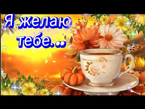 Пускай вера, надежда и любовь сопровождают тебя весь день! 💫🧚♂️❤#МУЗЫКАЛЬНАЯОТКРЫТКА #Хорошегодня