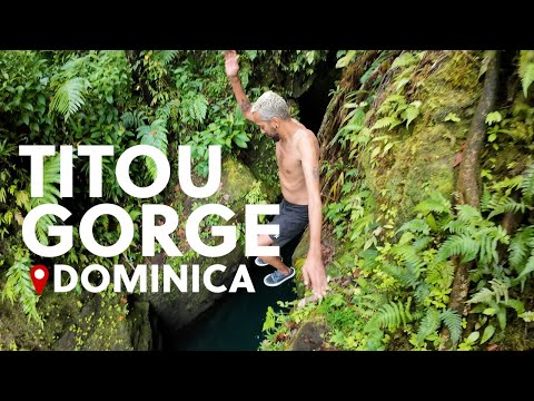 Come Explore Titou Gorge in Dominica! The Nature Island. [4K]