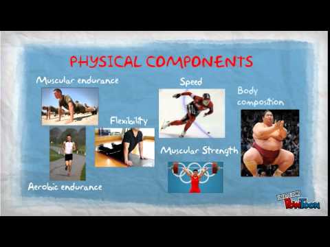 Skills-Related Components of Fitness 