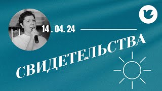 Свидетельства - Наталья Яценко