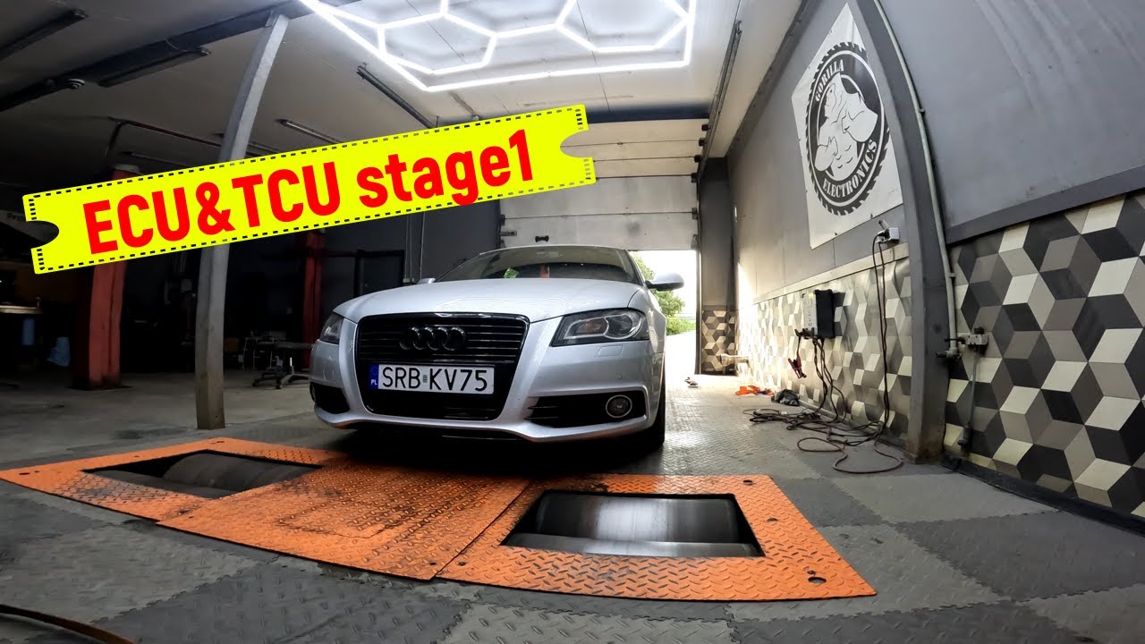 Chiptuning Audi A3 8P 2.0 TDI CFGB stage1 // w pierścieniu tajemnic ...