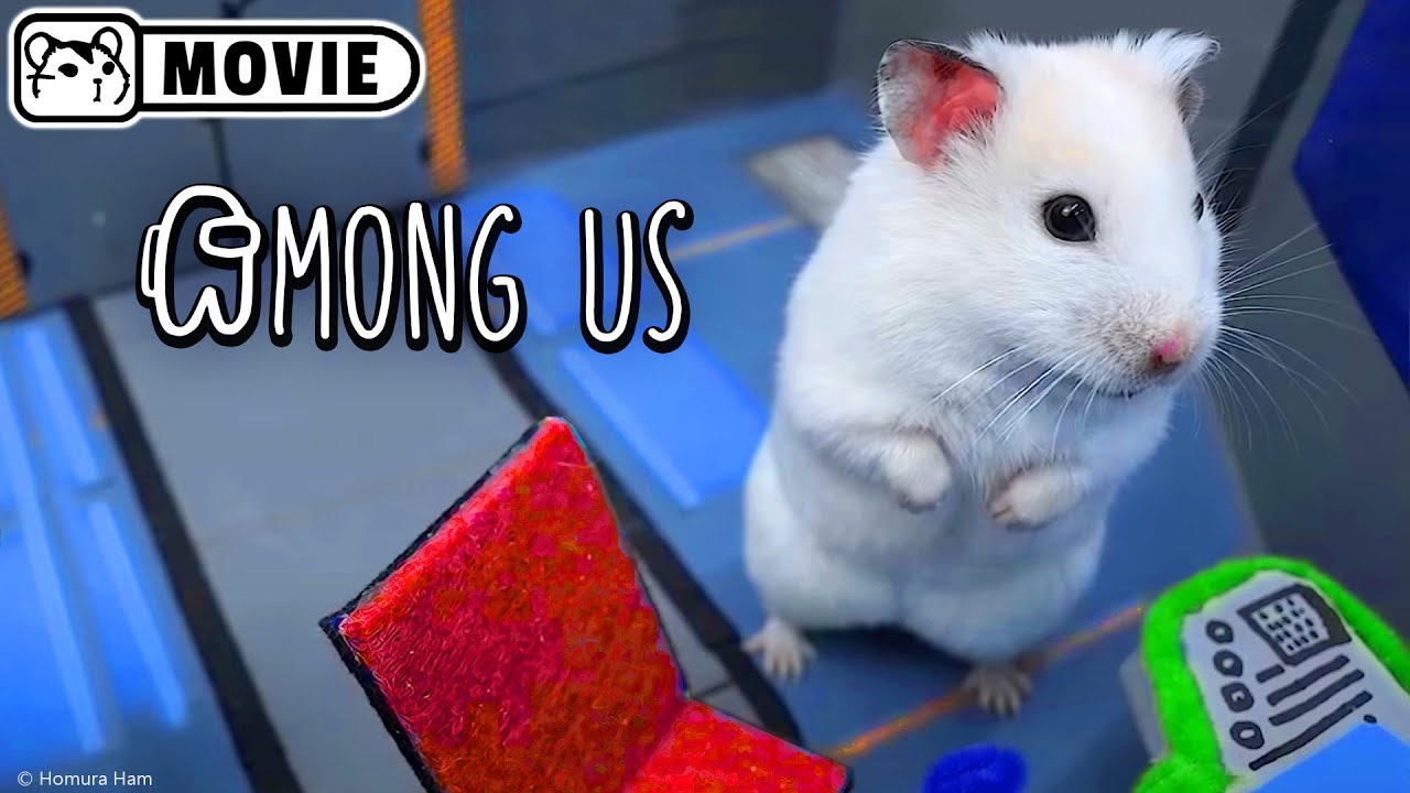 Hamster Impostor Among Us - Movie ???? Homura Ham - youtube