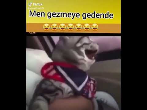 Men gezmeye gedende