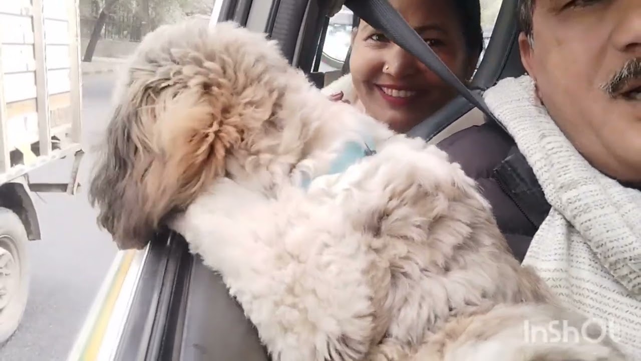 कोको गया दादी को छोड़ने