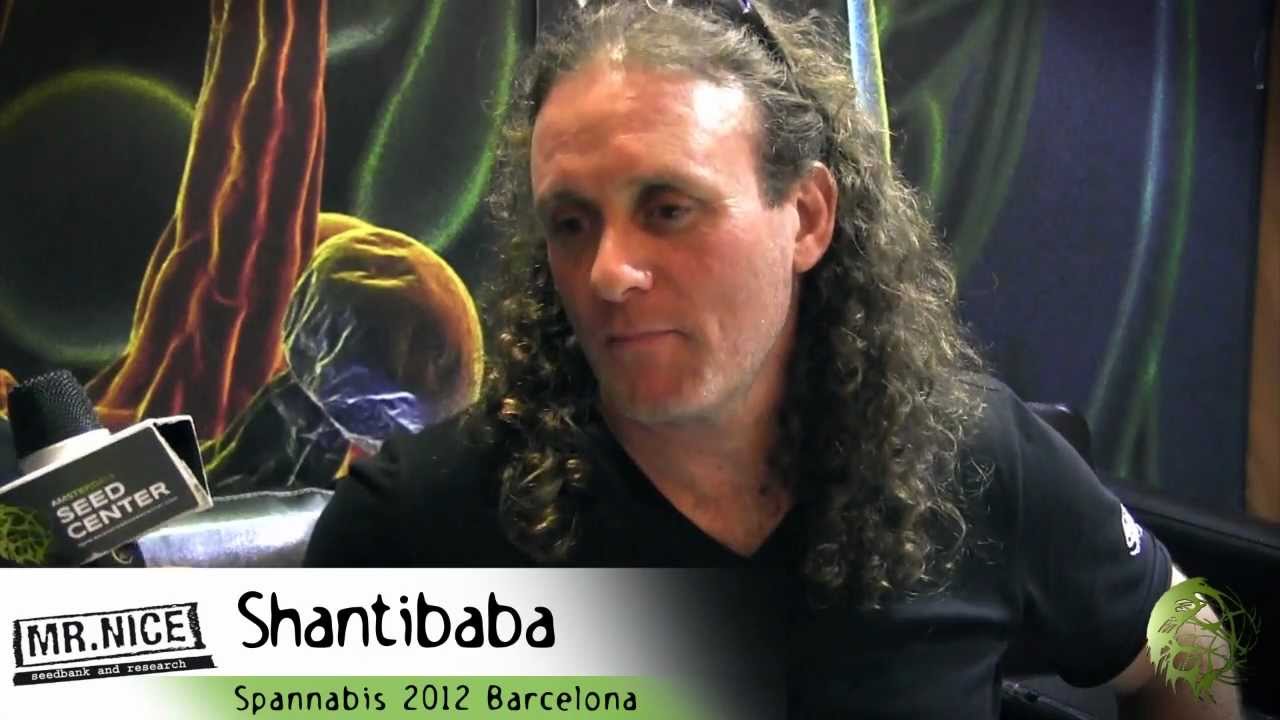 Shantibaba CBDcrew Spannabis 2012 Amsterdam Seed Center