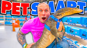 My Giant Pet Lizard Goes To Petsmart!