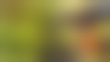 Quick Vlog: How to Add Nutrients to Water your Plants | GrowAce Update