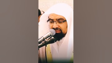 أمن يجيب المضطر إذا دعاه. تلاوة رائعة جدا للشيخ ناصر القطامي