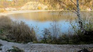 Озеро Янтарное в ноябре (10.11.20), пос. Синявино Калининградской обл.