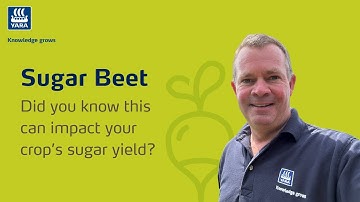 Growing Sugar Beet? Here