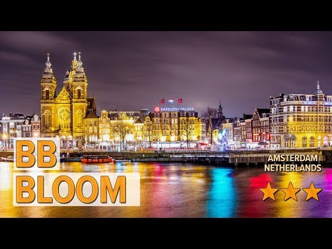 bb bloom hotel review hotels in amsterdam netherlands hotels
