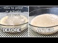 BASIC FOR BEGINNERS: HOW TO ACTIVATE YEAST | RIGHT WAY TO ACTIVATE THE DRY YEAST