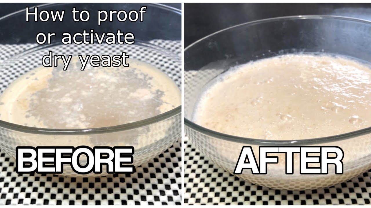 BASIC FOR BEGINNERS: HOW TO ACTIVATE YEAST | RIGHT WAY TO ACTIVATE THE