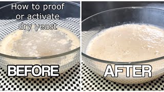 BASIC FOR BEGINNERS: HOW TO ACTIVATE YEAST | RIGHT WAY TO ACTIVATE THE DRY YEAST