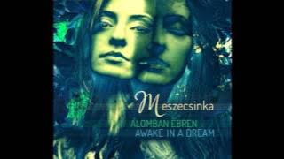 Meszecsinka - Awake in a dream (full album) 2016