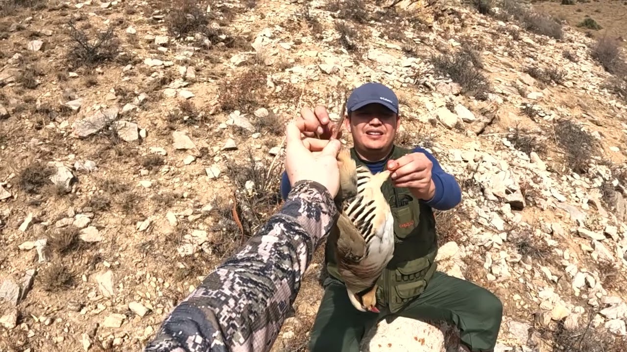 Кекиликкке аңчылык / Камераны ыргытып салгым келди