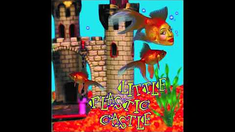 Little Plastic Castle by Ani DiFranco