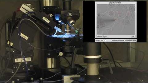 The patcherBot: Automated in-vitro patch-clamp recording using pipette cleaning