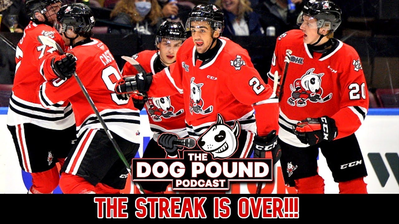 THE STREAK IS OVER! - Dog Pound Podcast