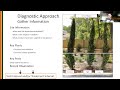 Abiotic stressors how to manage and identify in the urban environment