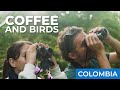 Birding in the coffee region  caldas colombia  field guides