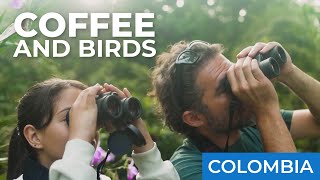 Birding in the Coffee Region | Caldas, Colombia | Field Guides