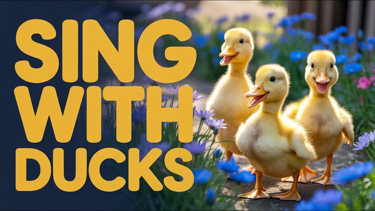 Little Ducks Quacking Song | English Kids Music for Preschoolers Singing and Dancing to Quack Quack