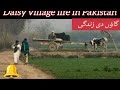 Pakistan village life  daisy culture  old culture of punjab  gaon de zindagi  traditional village