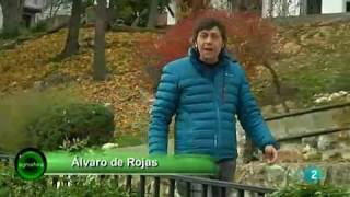 olmeda de las fuentes