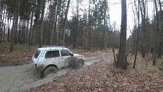 Offroad по лесным дорогам 2 НИВЫ и УАЗ